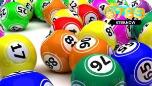 Bạch Thủ Lô Là Gì