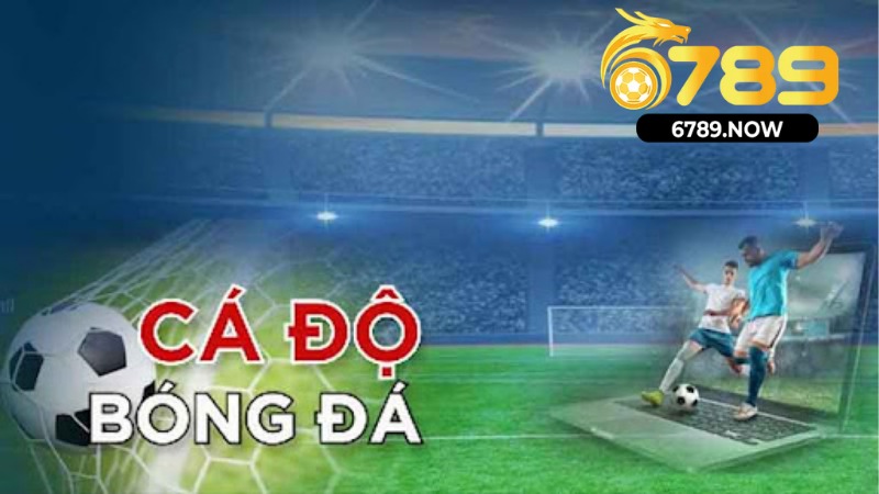 giải mã kèo nhà cái